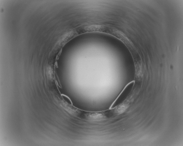 X0000073450669200608041029