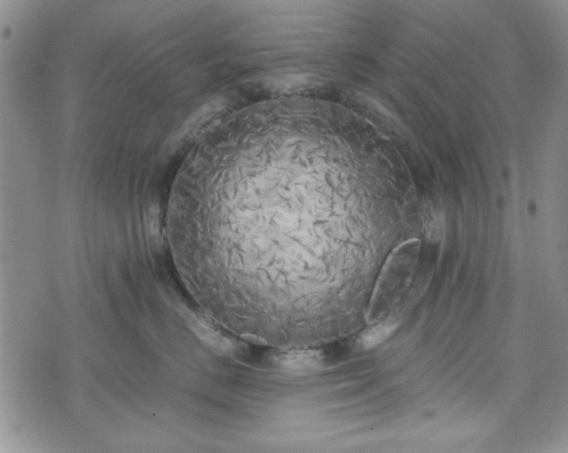 X0000073450670200608041029