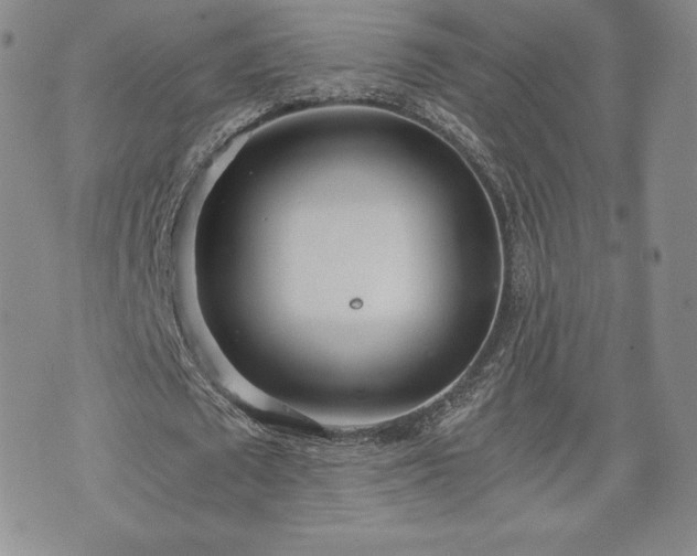 X0000073450673200608041028