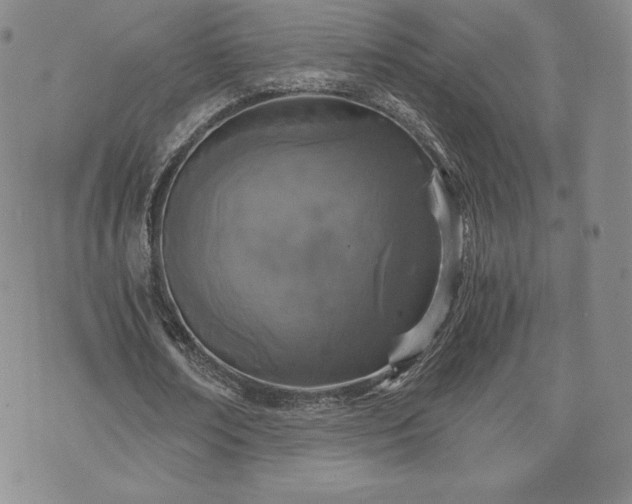 X0000073450674200608041028