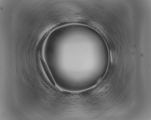 X0000073450675200608041028