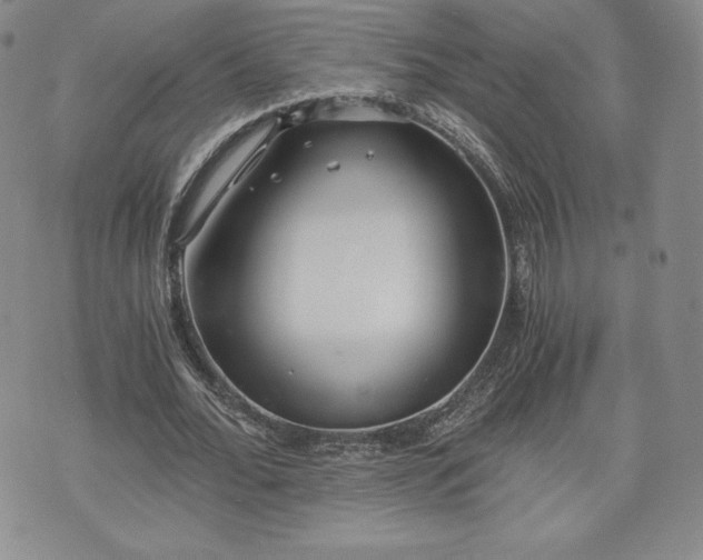 X0000073450676200608041028