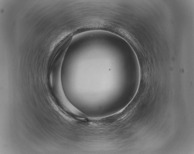 X0000073450677200608041028