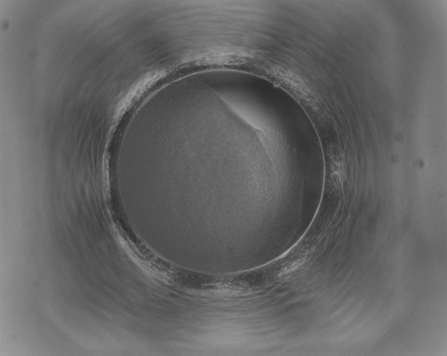 X0000073450678200608041028