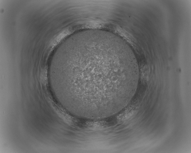 X0000073450679200608041028