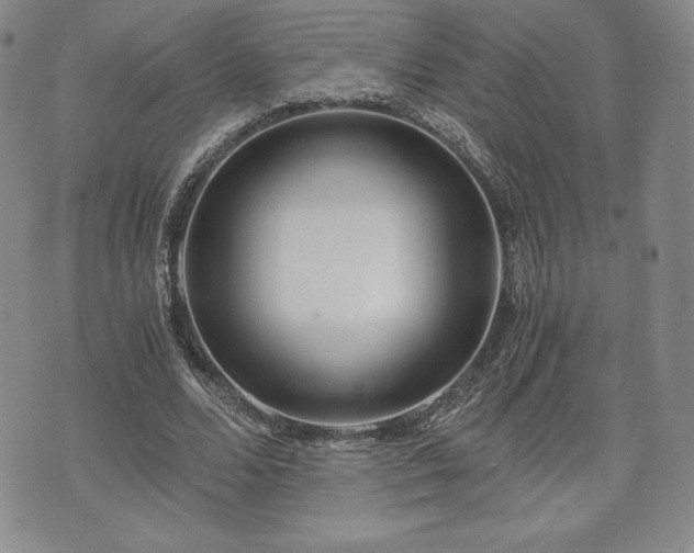 X0000073450680200608041028