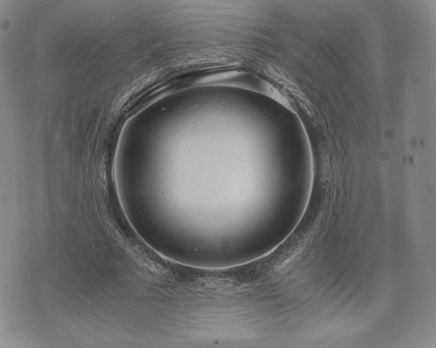 X0000073450681200608041028