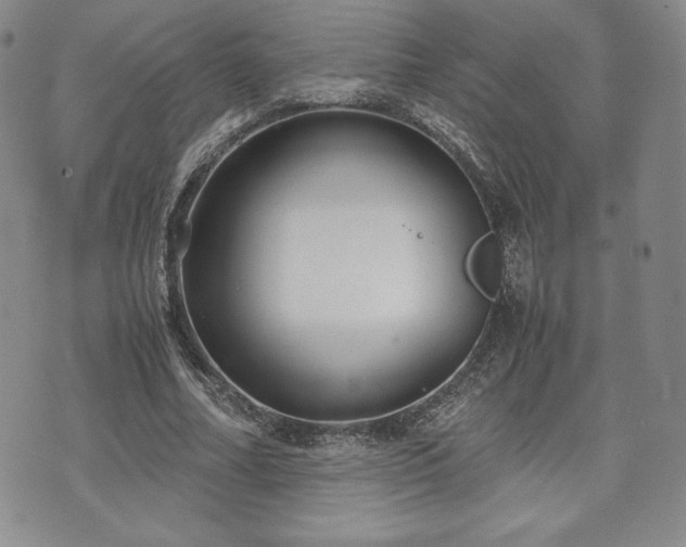 X0000073450682200608041028