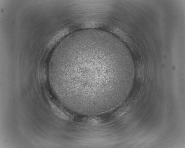 X0000073450683200608041028