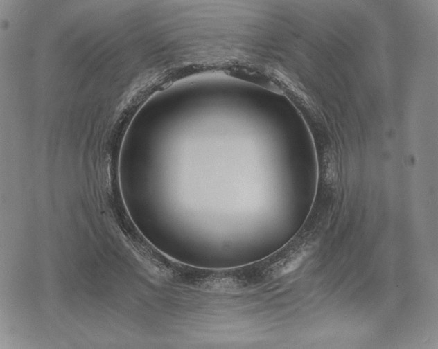 X0000073450685200608041028