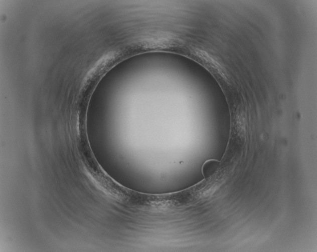 X0000073450686200608041028