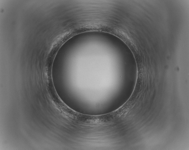 X0000073450688200608041028