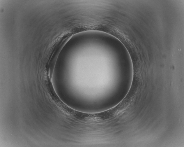 X0000073450689200608041028