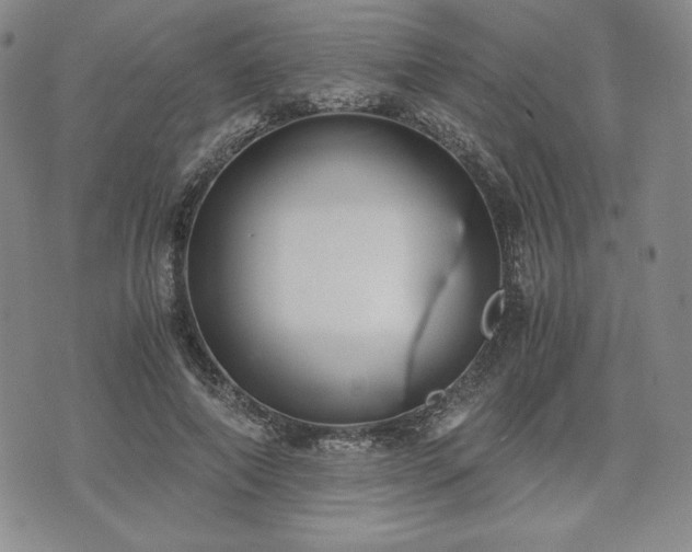 X0000073450690200608041028