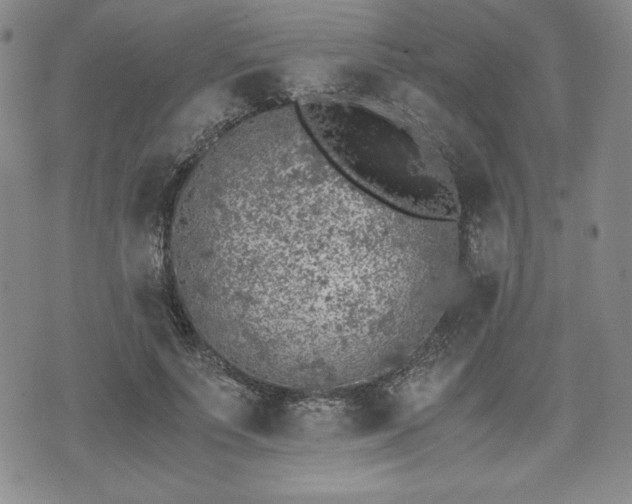 X0000073450691200608041028