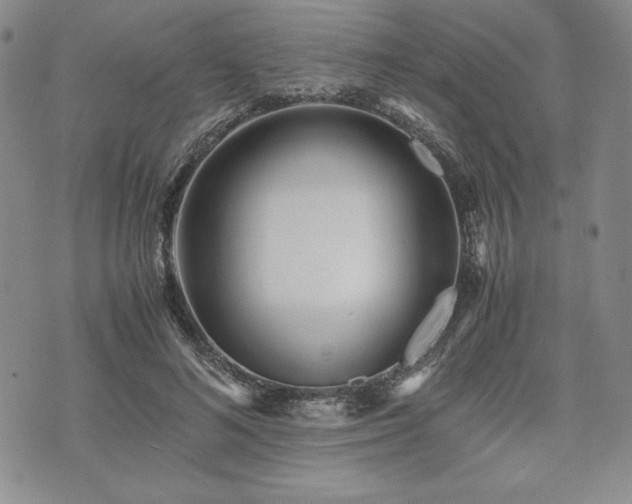 X0000073450692200608041028