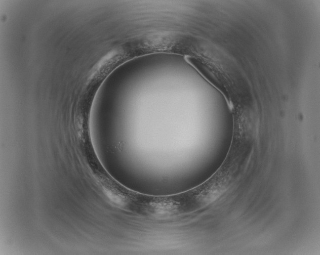 X0000073450693200608041028