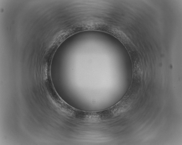 X0000073450694200608041028