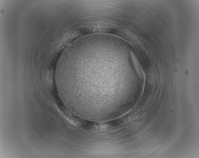 X0000073450695200608041028