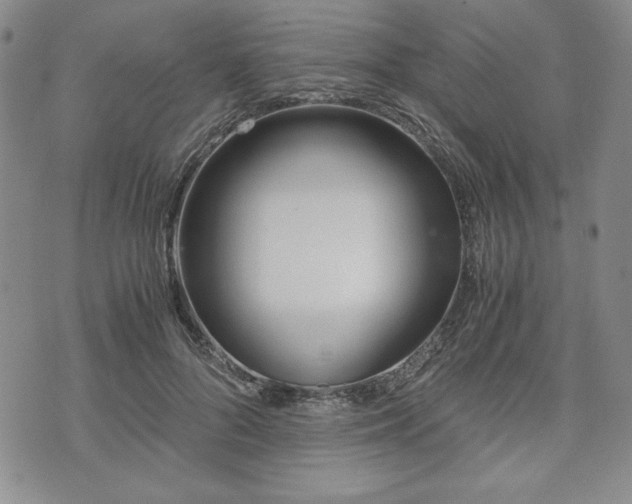 X0000073450696200608041028