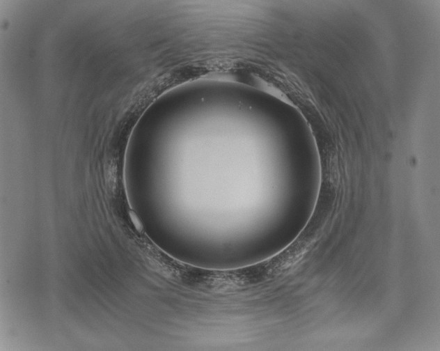 X0000073450697200608041028