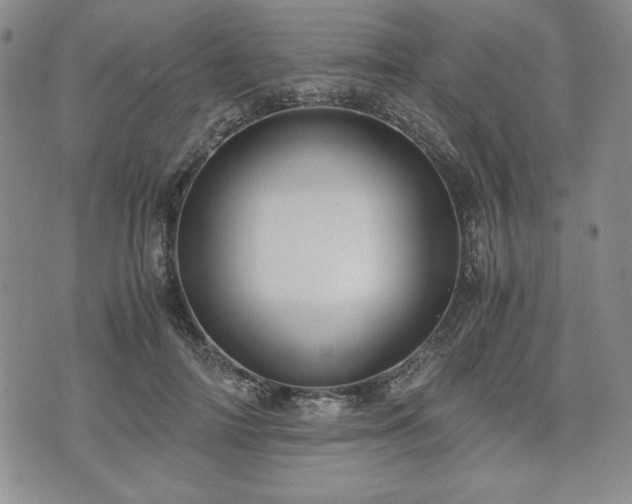 X0000073450698200608041028