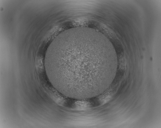 X0000073450699200608041028