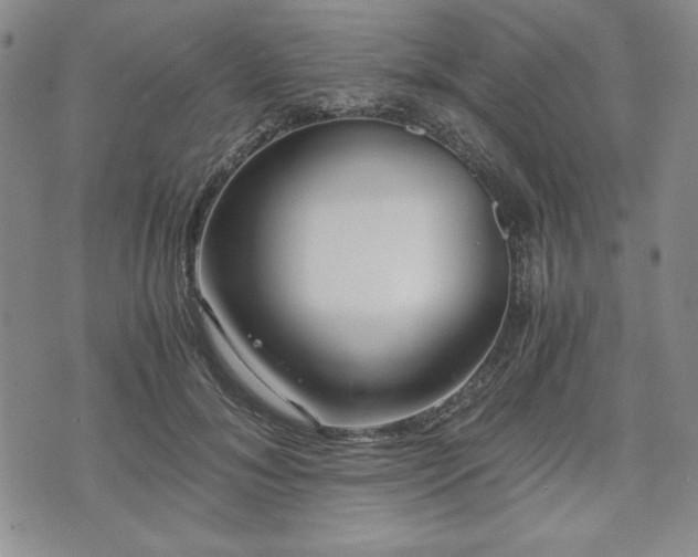 X0000073450700200608041028