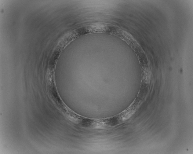 X0000073450701200608041028