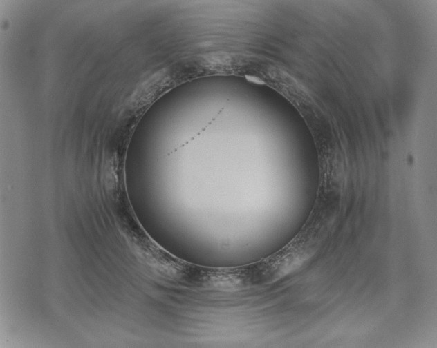 X0000073450702200608041028