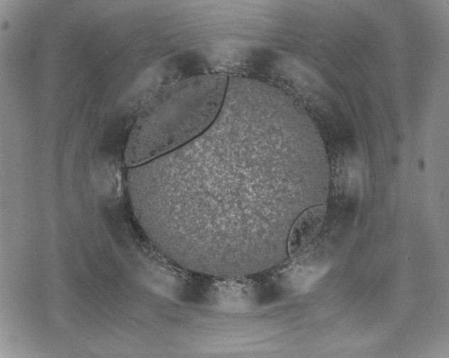 X0000073450703200608041028