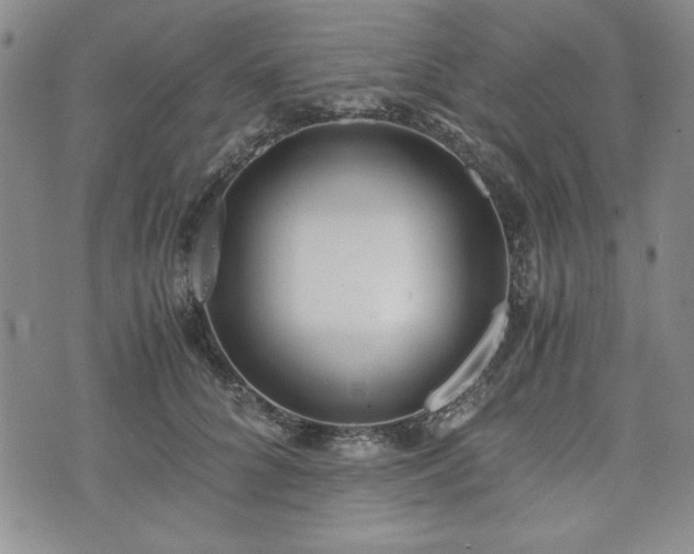 X0000073450704200608041028