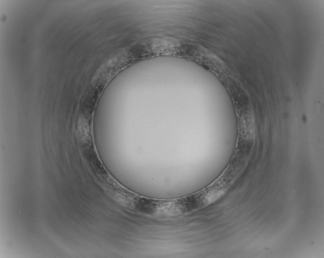 X0000073450705200608041028