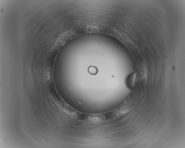 X0000073450706200608041028