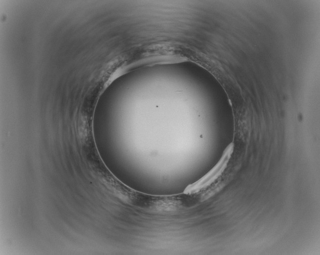 X0000073450708200608041028