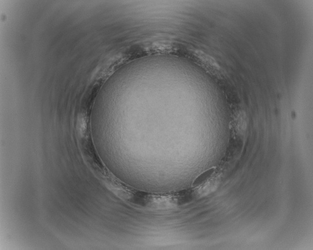 X0000073450709200608041028