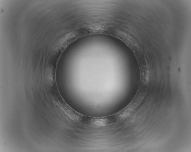 X0000073450710200608041028