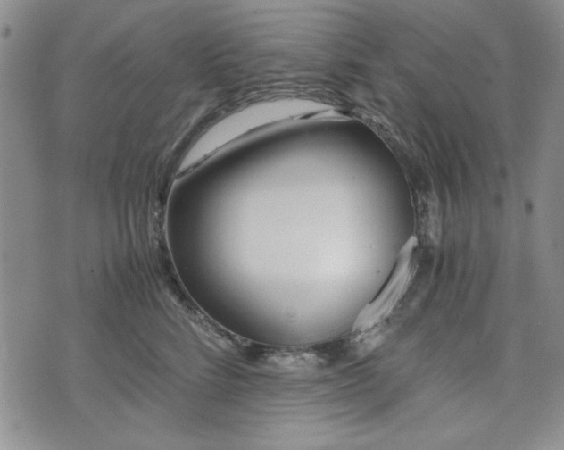 X0000073450712200608041028