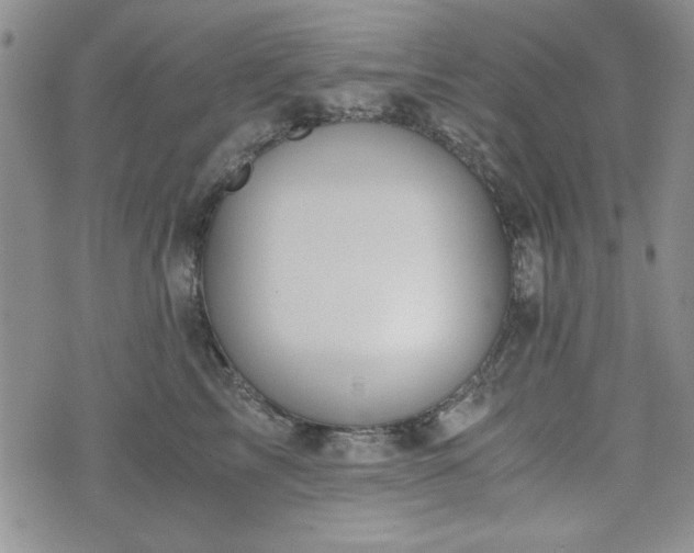 X0000073450713200608041028