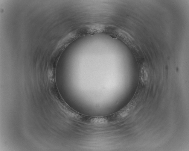 X0000073450714200608041028