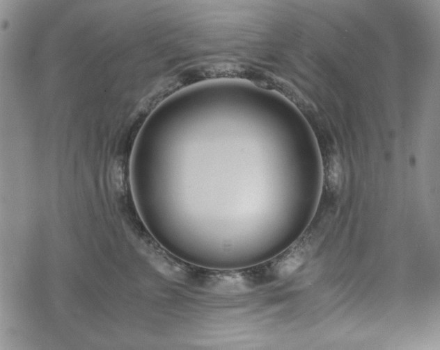 X0000073450715200608041028