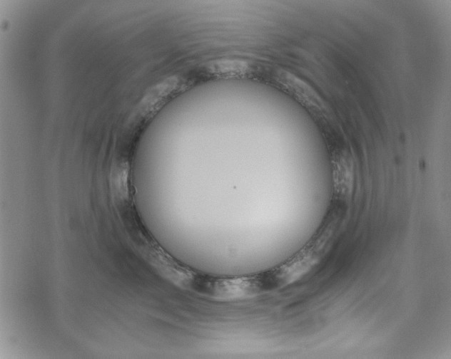 X0000073450717200608041028