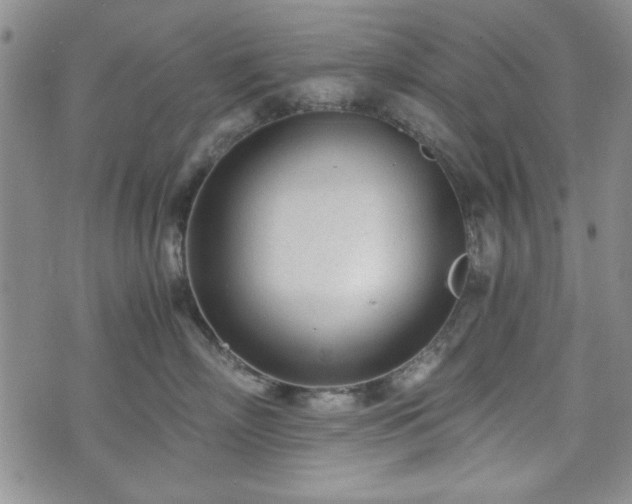 X0000073450718200608041027