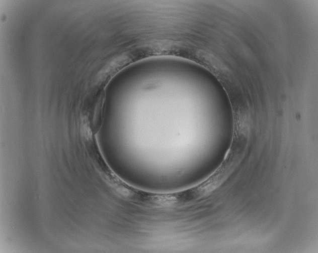 X0000073450719200608041027