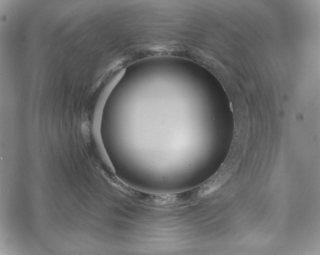 X0000073450720200608041027