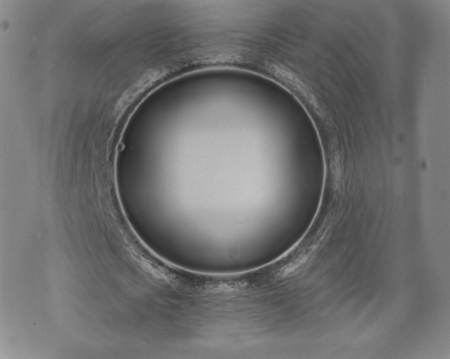 X0000073450721200608041027