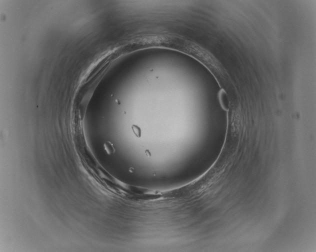 X0000073450722200608041027