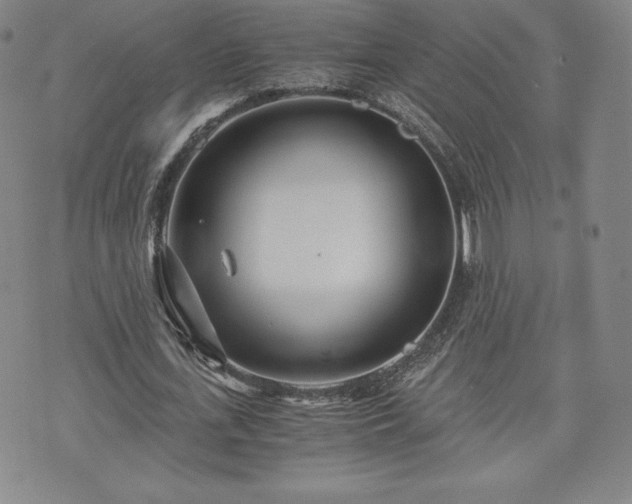 X0000073450723200608041027