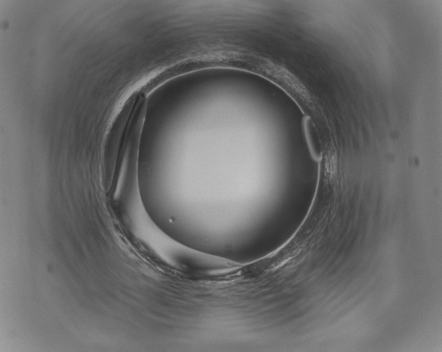 X0000073450724200608041027