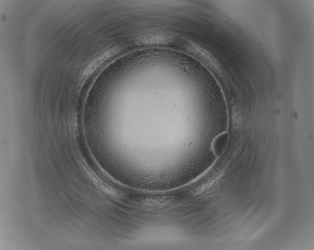 X0000073450725200608041027